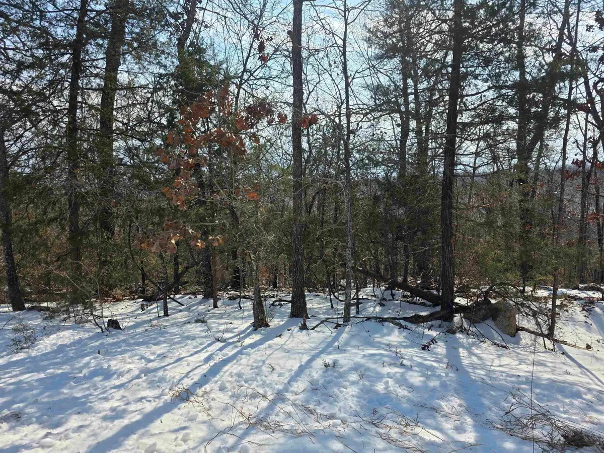 L-22, B-4 Topez Drive, Cherokee Village, AR 72529 - #1