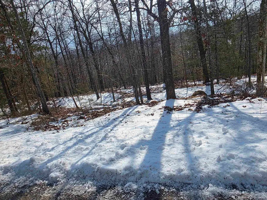 L-22, B-4 Topez Drive, Cherokee Village, AR 72529 - #2