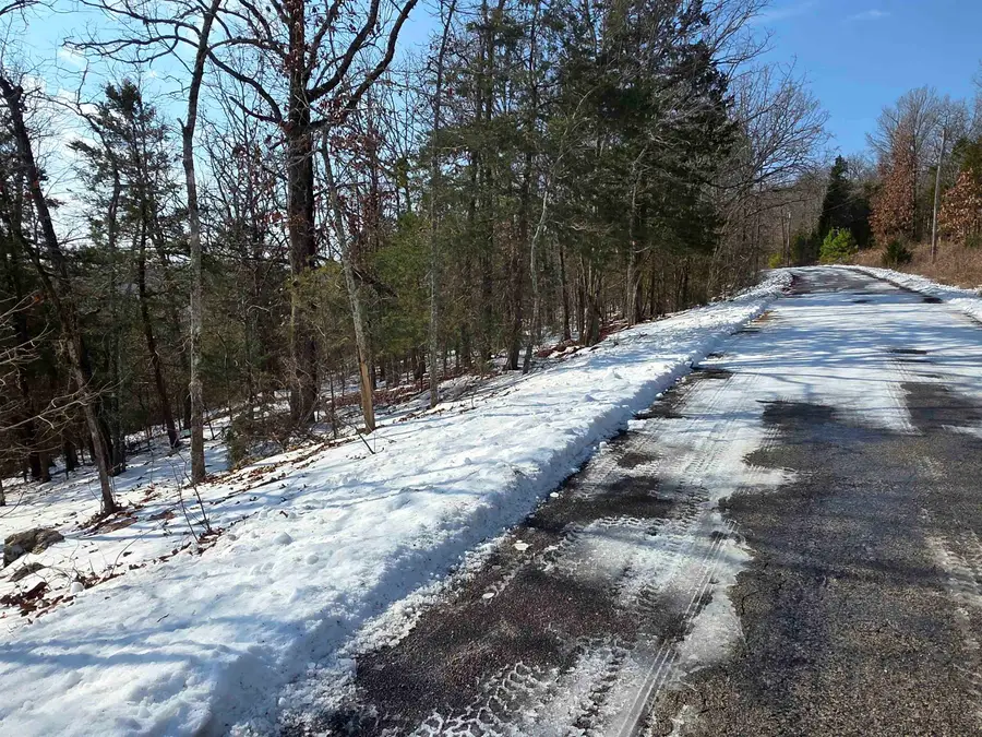 L-22, B-4 Topez Drive, Cherokee Village, AR 72529 - #3