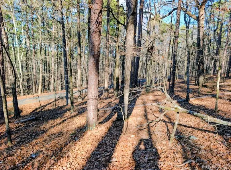 TBD Astorga Circle, Hot Springs Village, AR 71909 - Image #2