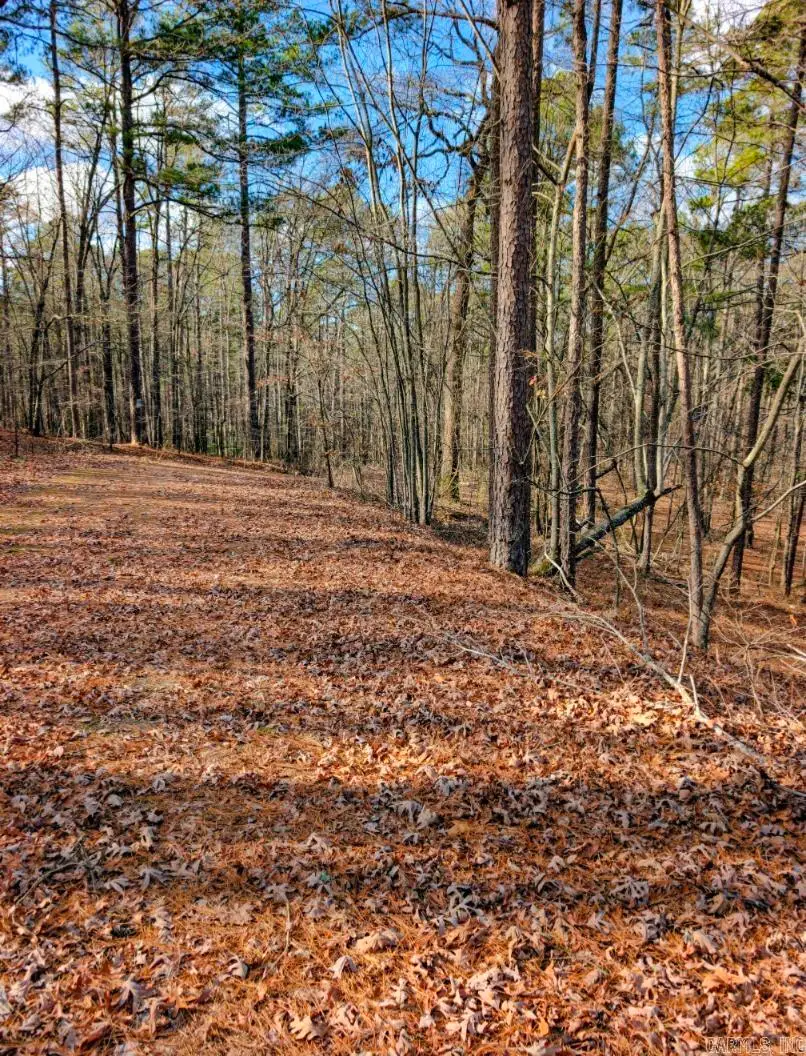 TBD Nova Lane, Hot Springs Village, AR 71909 - Image #3