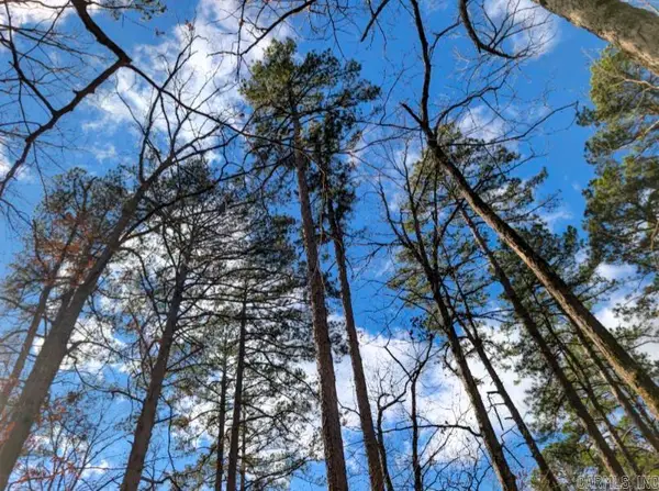 TBD Ayora, Hot Springs Village, AR 71909