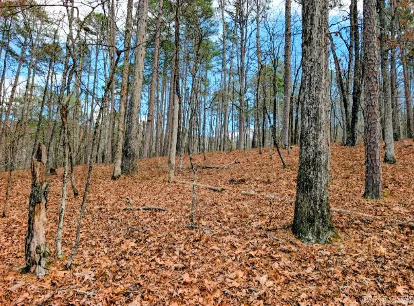 TBD Ayora, Hot Springs Village, AR 71909 - Image #2