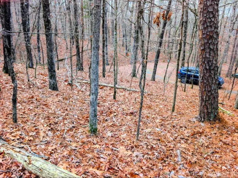 TBD Ayora, Hot Springs Village, AR 71909 - Image #3