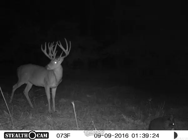 Address Withheld By Seller, Georgetown, AR 72143