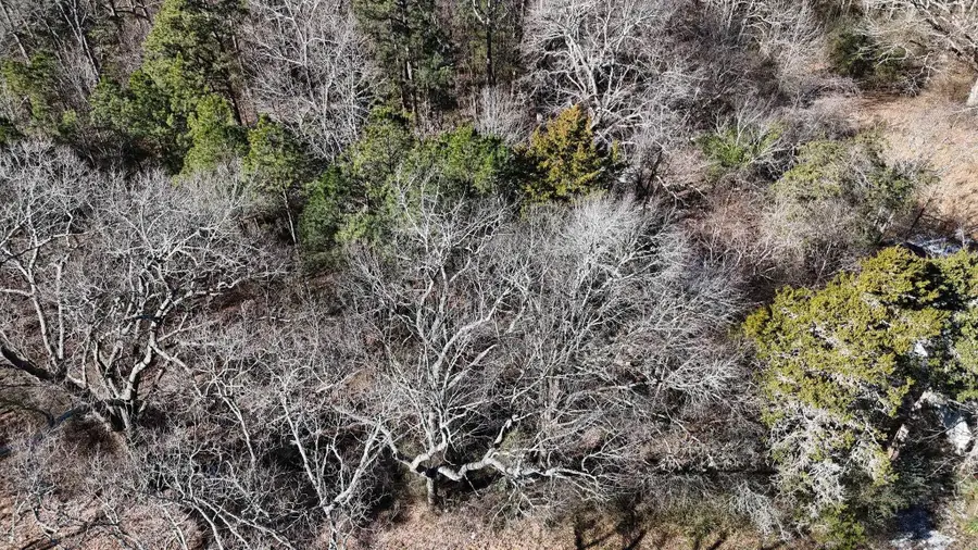 TBD Armour St, Mena, AR 71953 - Image #3