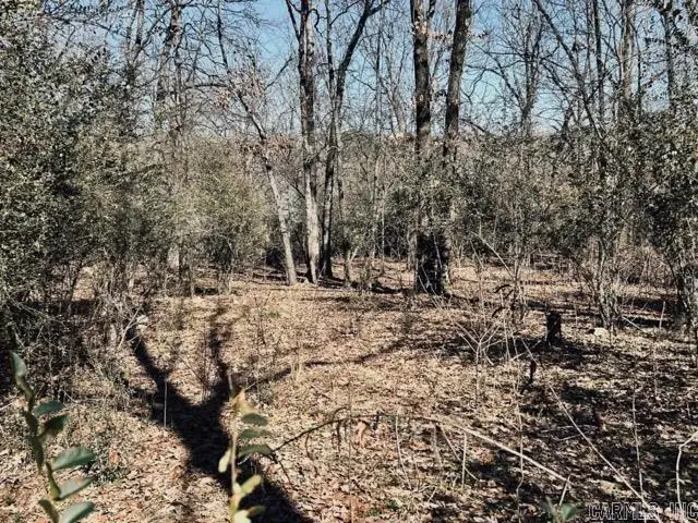 00 Faircove Loop, North Little Rock, AR 72116 - #2