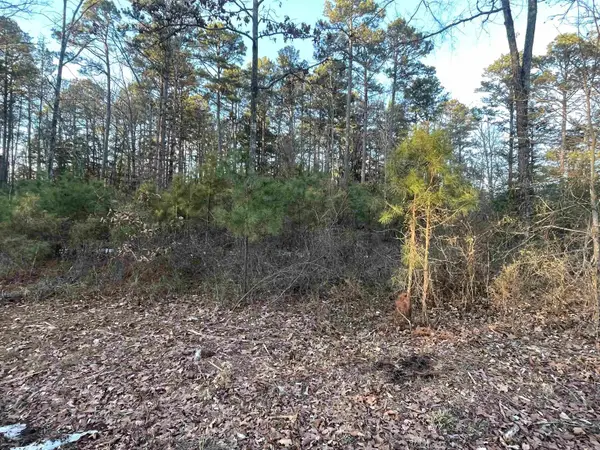 Lot 2 Tract 45 Ellen Lane, Higden, AR 72067