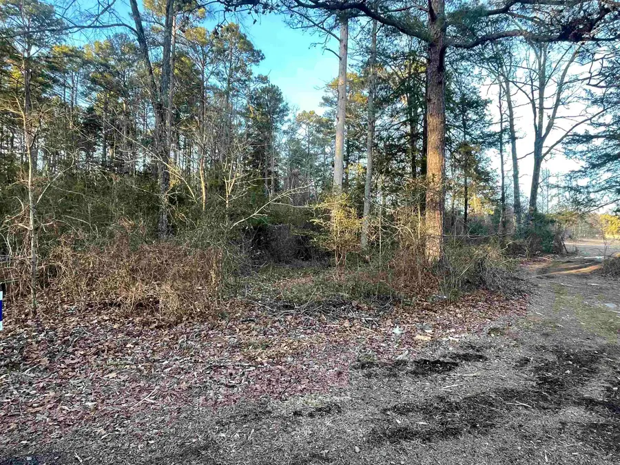 Lot 2 Tract 45 Ellen Lane, Higden, AR 72067 - #2