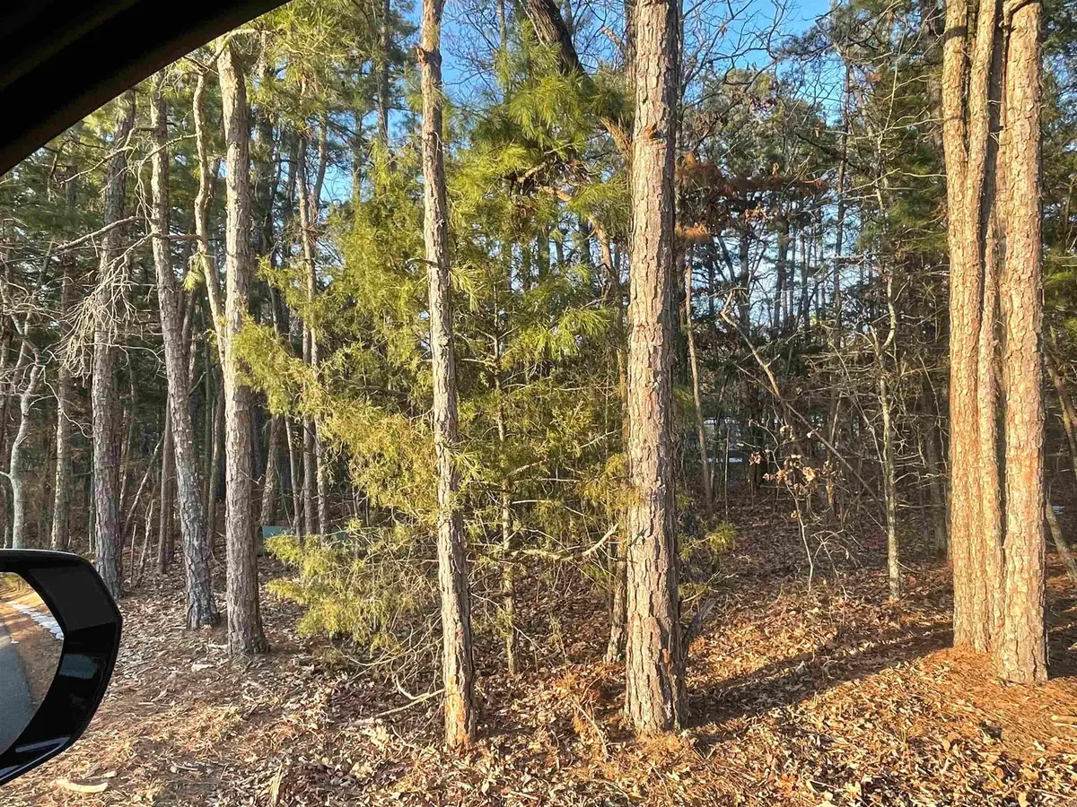 Lot 4 Tract 45 Ellen Lane, Higden, AR 72067 - #1