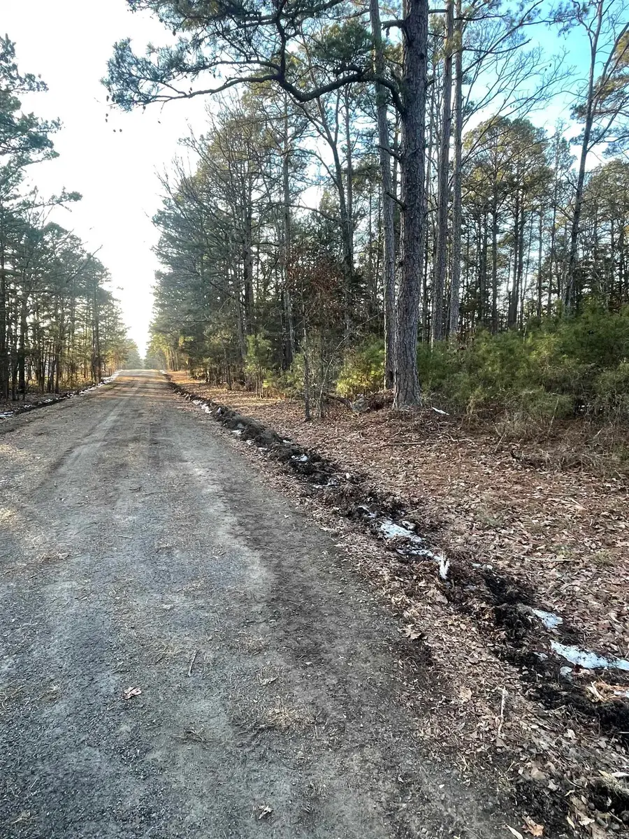 Lot 4 Tract 45 Ellen Lane, Higden, AR 72067 - #2