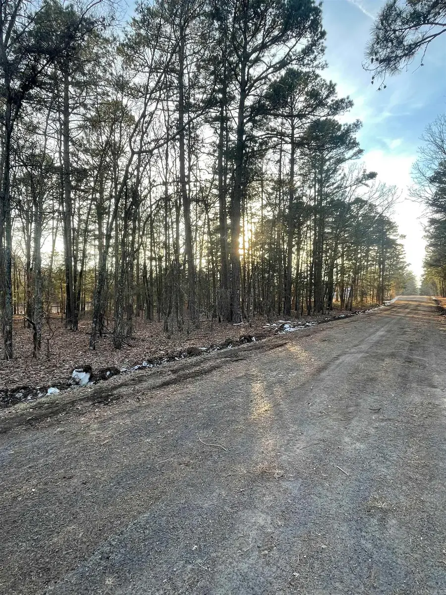 Lot 4 Tract 45 Ellen Lane, Higden, AR 72067 - #3