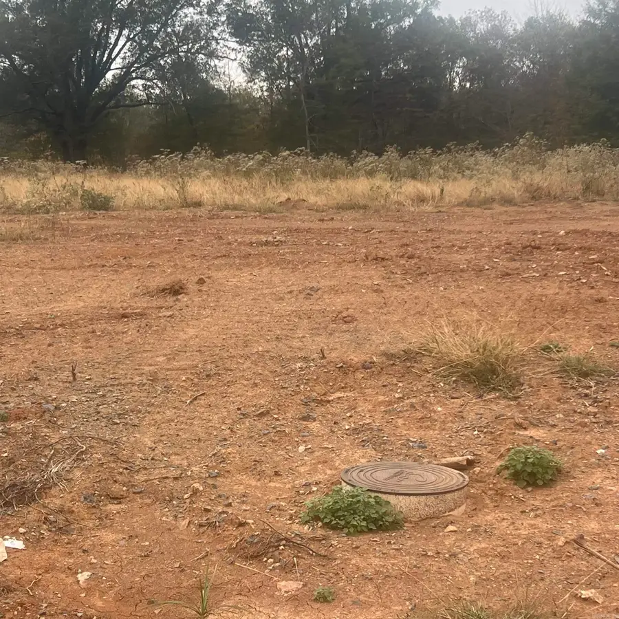 115 Corniche Lane, Maumelle, AR 72113 - #3