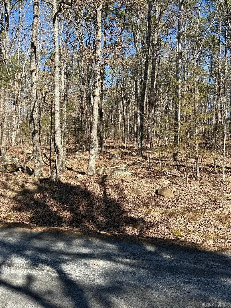 Creekside Drive, Greers Ferry, AR 72067 - #3