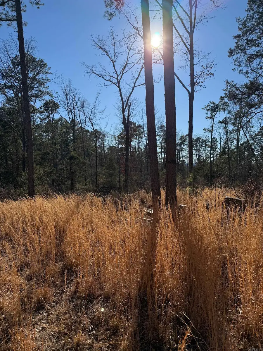 558 Pebble Drive, Clinton, AR 72031 - #2