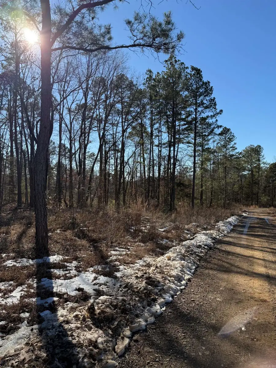 000 Pebble Drive, Clinton, AR 72031 - #2