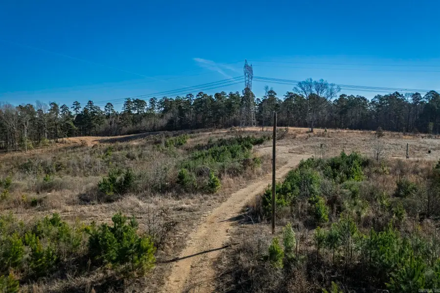 58 Dodgen Road, Gurdon, AR 71743 - #3