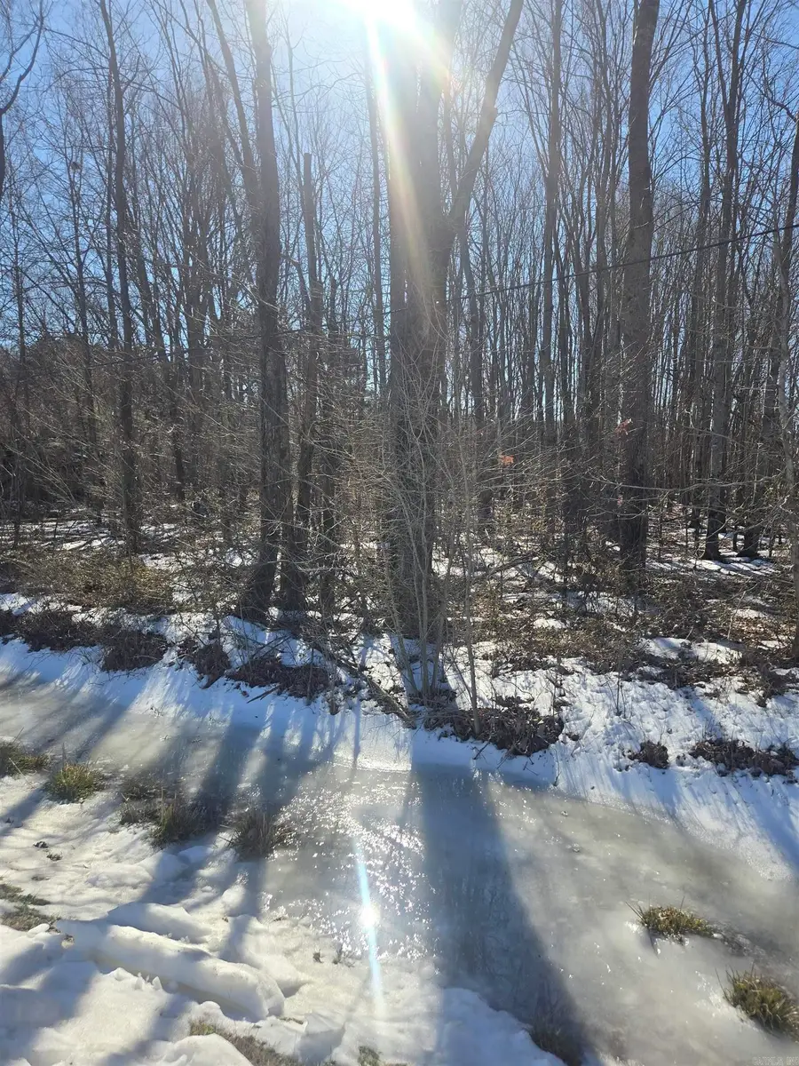 000 Highway 38 East, Cotton Plant, AR 72036 - #2