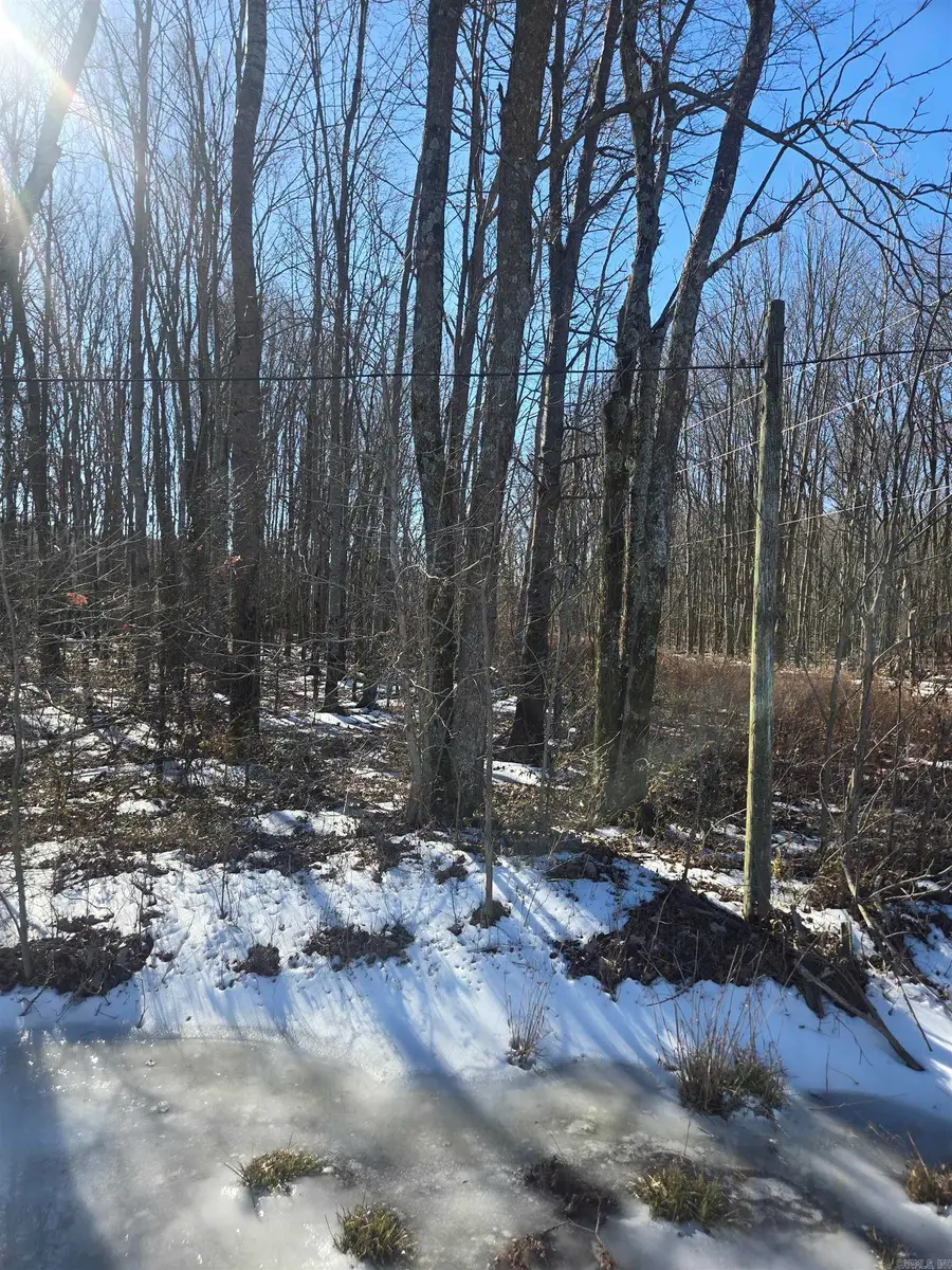 000 Highway 38 East, Cotton Plant, AR 72036 - #3