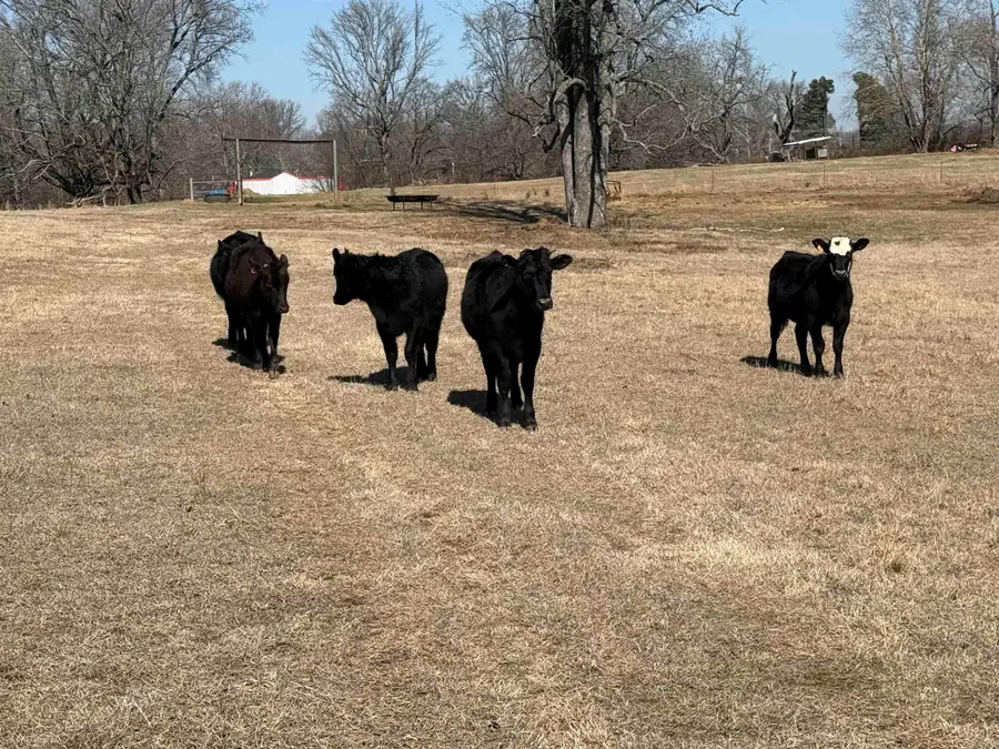 TRACT 2- 2003 Old Military Rd, Jacksonville, AR 72076 - #2