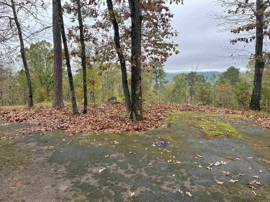 4001 Ridgefield Lane, Little Rock, AR 72223 - #3