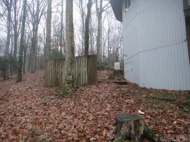 85 Bluff View Drive, Quitman, AR 72131 - #2