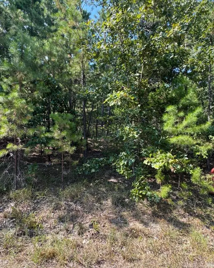 67 Tomelloso Way, Hot Springs Village, AR 71909 - Image #1