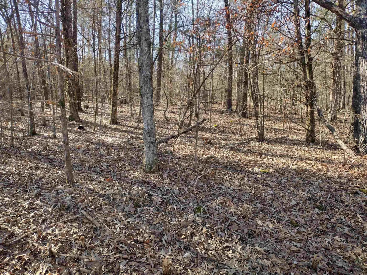 tract 8 St James Rd, Mountain View, AR 72560 - #1