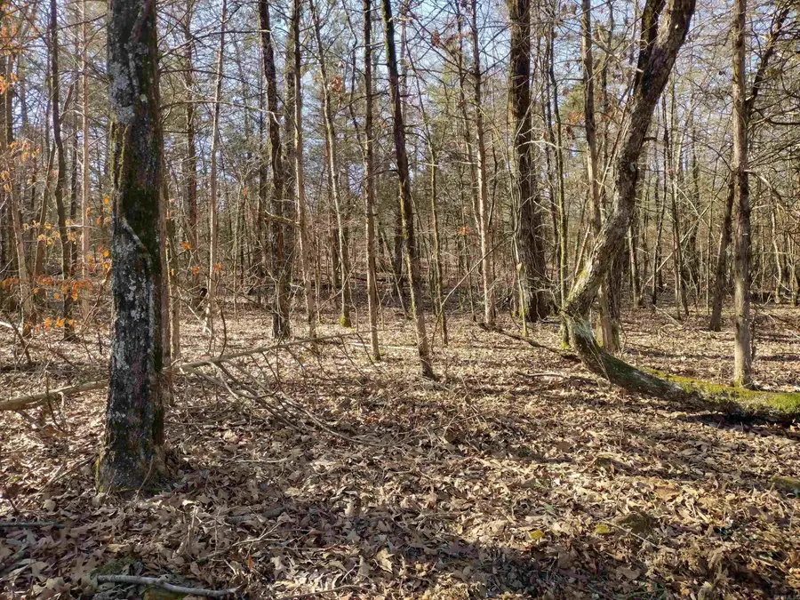 tract 8 St James Rd, Mountain View, AR 72560 - #2