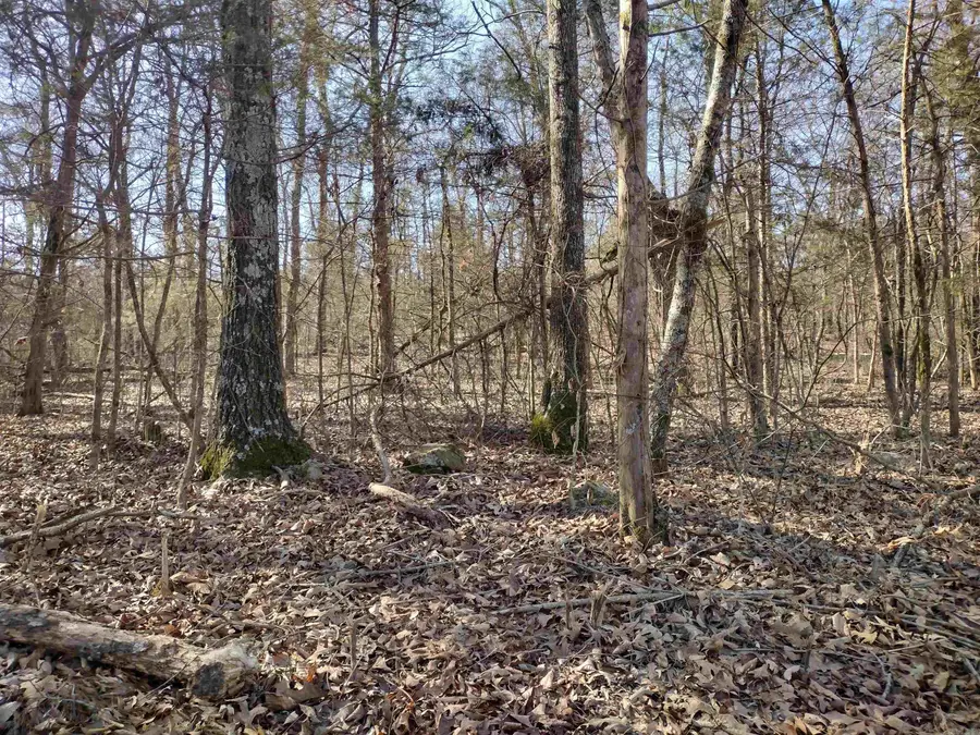 tract 8 St James Rd, Mountain View, AR 72560 - #3