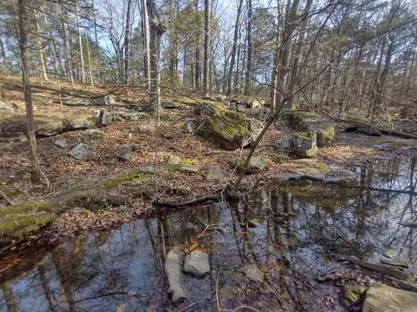 tract 2 Hwy 14, Mountain View, AR 72560