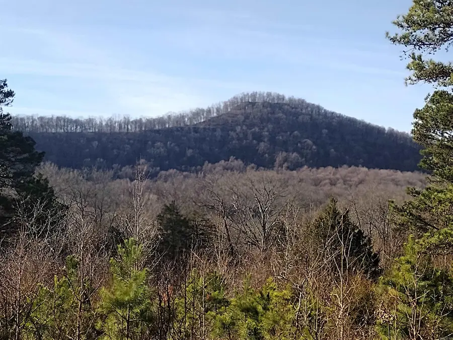 tract 2 Hwy 14, Mountain View, AR 72560 - #2