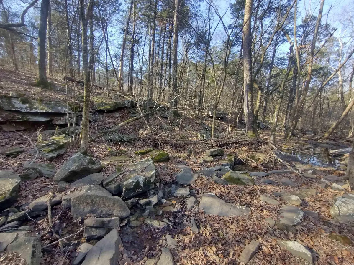 Tract 1 Hwy 14 E, Mountain View, AR 72560 - #1