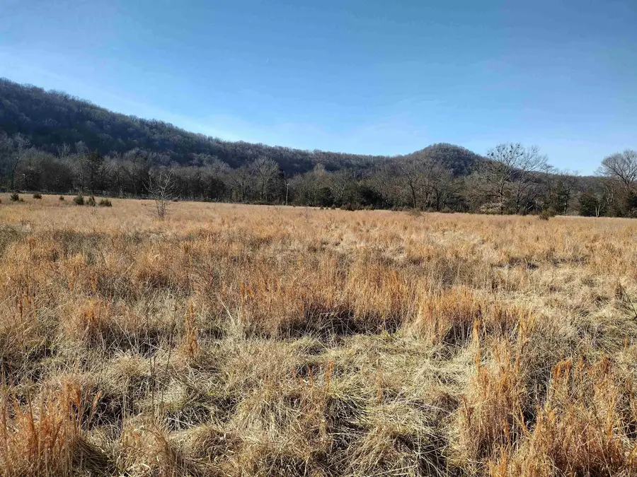 tract 5/6/7 Hwy 14 E, Mountain View, AR 72560 - #2