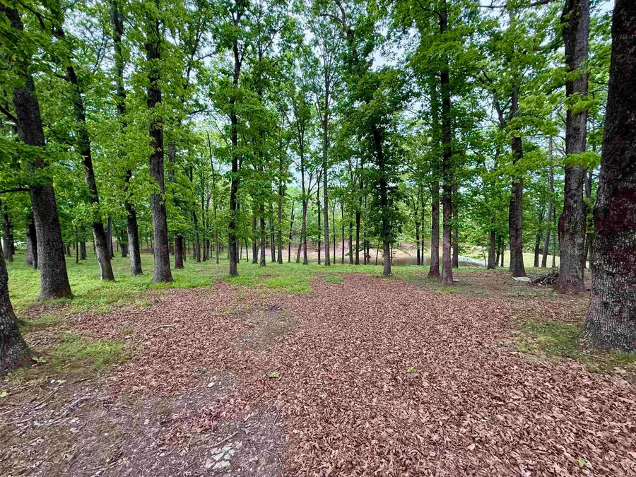 507 Polk Road 13, Wickes, AR 71973 - #2