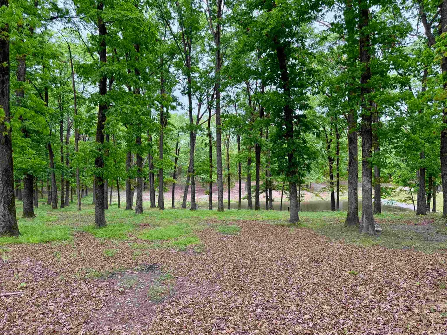 507 Polk Road 13, Wickes, AR 71973 - #3