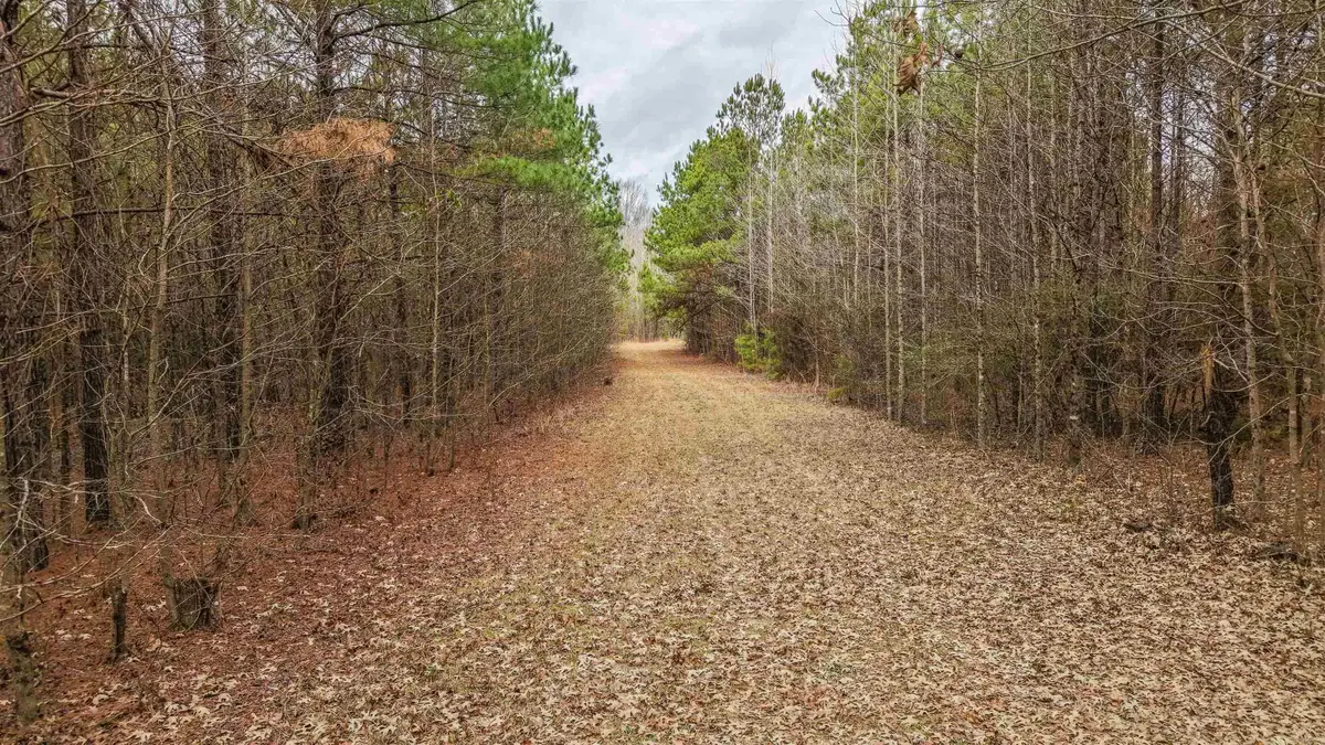 Lot 48 Highway 79 S, Pine Bluff, AR 71603 - #1