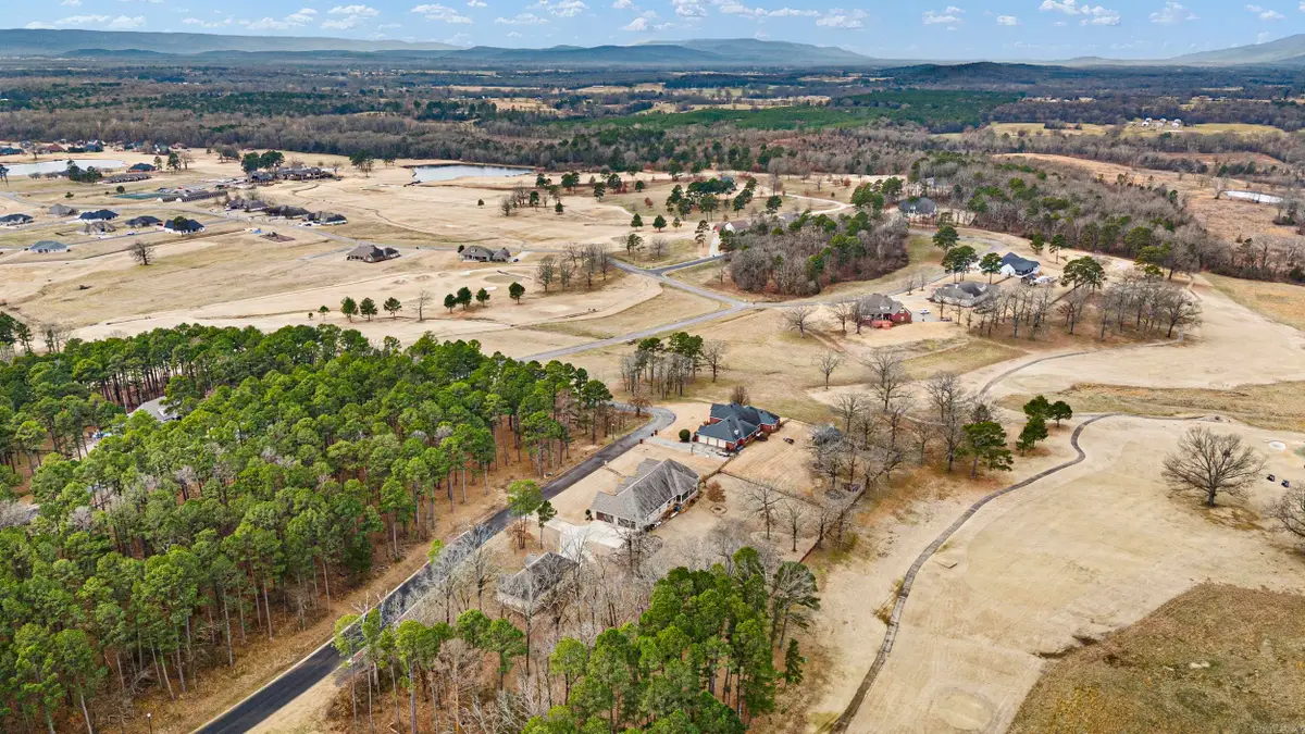 10121 Alyssa St, Danville, AR 72833 - #1