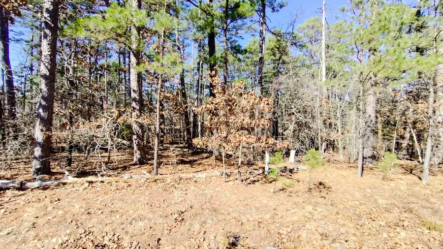 Address Withheld By Seller, Hot Springs Village, AR 71909 - #2