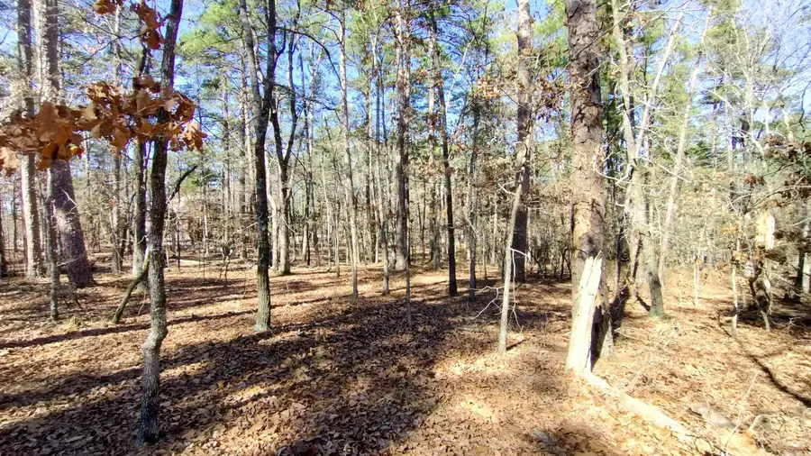 Address Withheld By Seller, Hot Springs Village, AR 71909 - #3