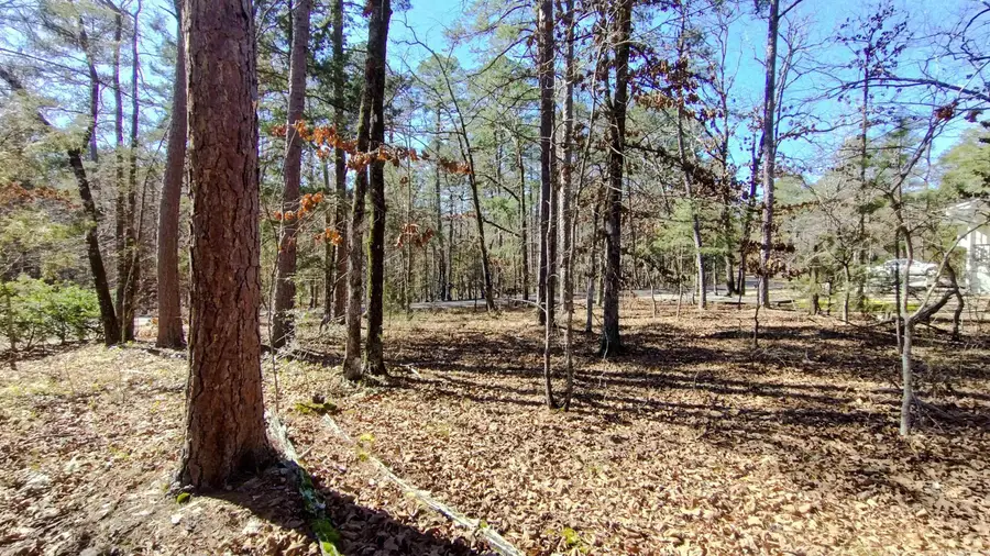 Address Withheld By Seller, Hot Springs Village, AR 71909 - #3