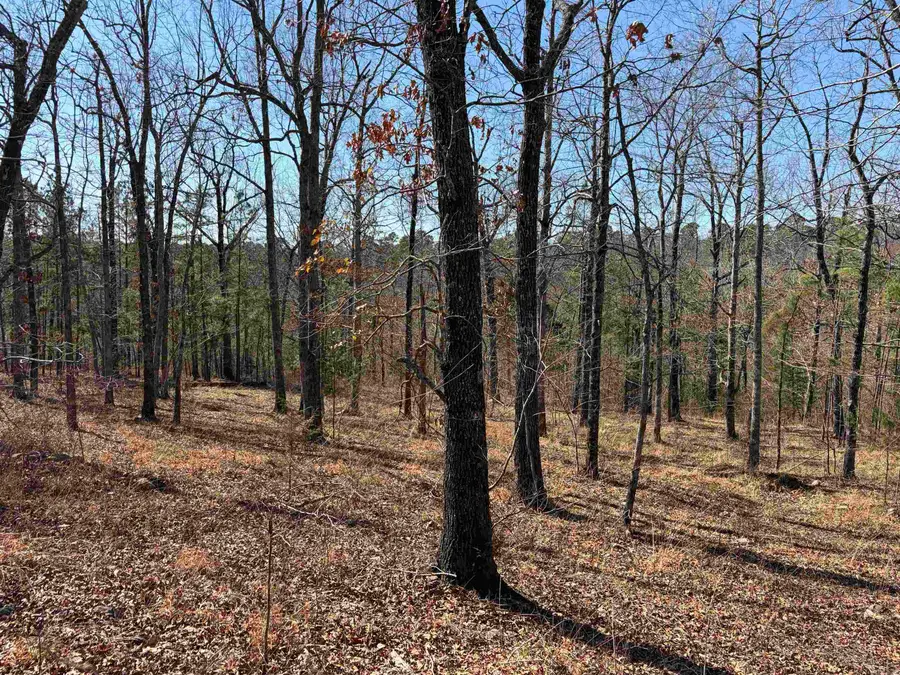 159 Dogwood Springs Lane, Mena, AR 71953 - #2