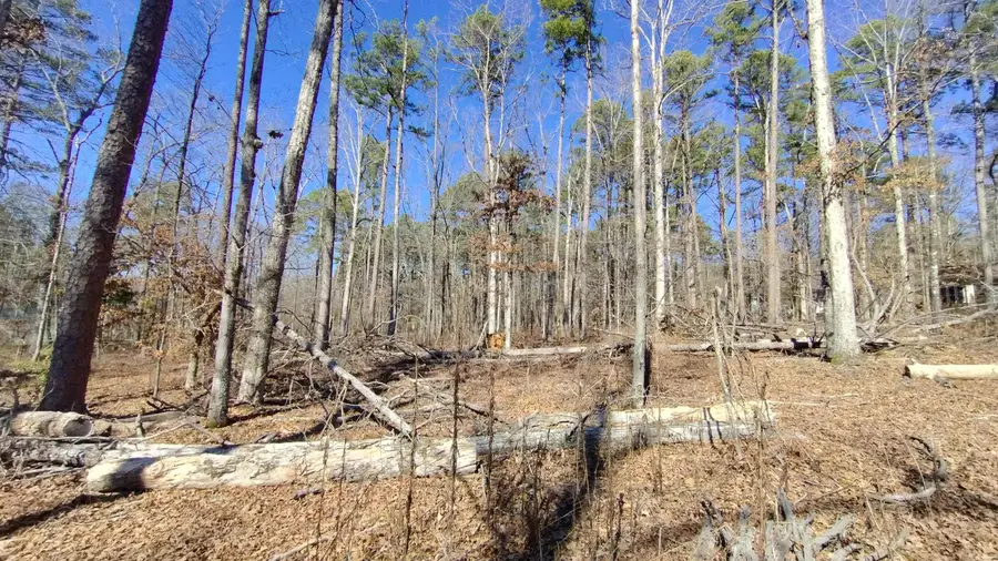 Address Withheld By Seller, Hot Springs Village, AR 71909 - #3