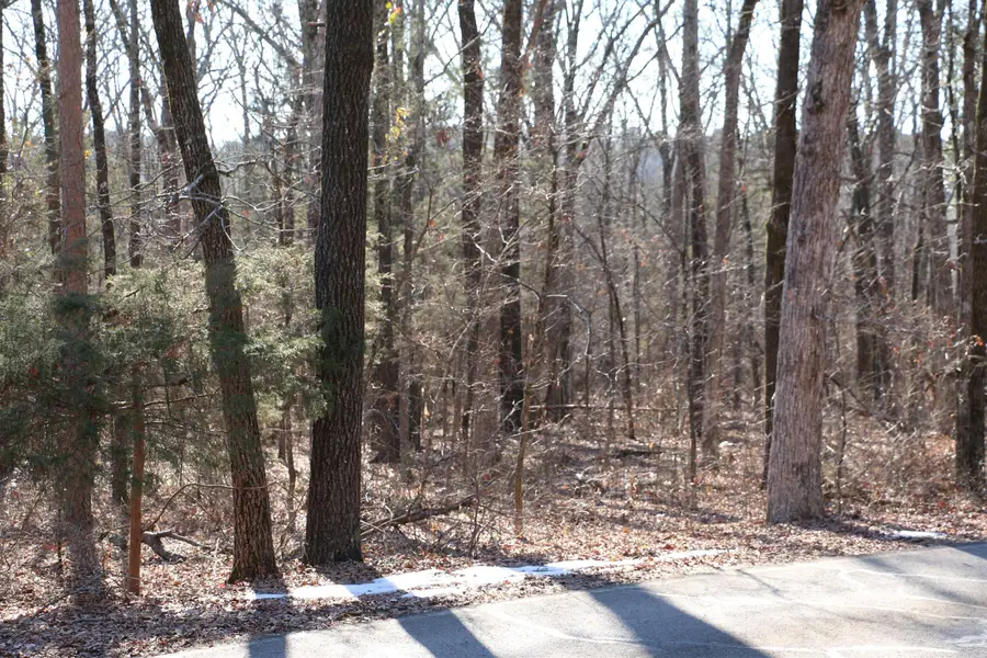 Lot 152 Woodlawn Drive, Fairfield Bay, AR 72088 - #3