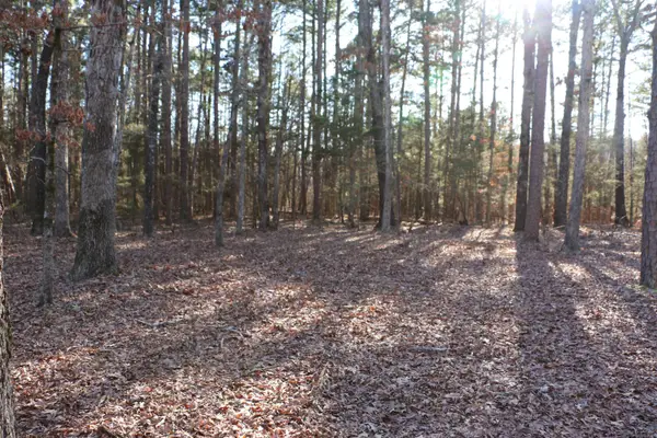 Lot 92 Dave Creek Parkway, Fairfield Bay, AR 72088