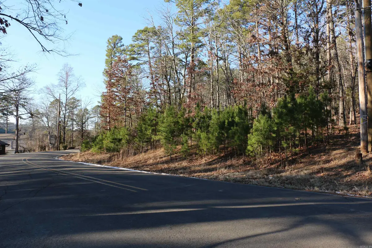 Lot 80 Lynn Creek Drive, Fairfield Bay, AR 72088 - #1