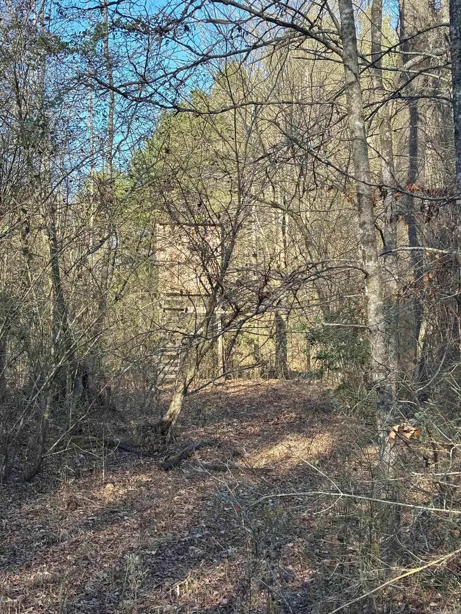 71 ACRE Grant 167031, Sheridan, AR 72150 - #3