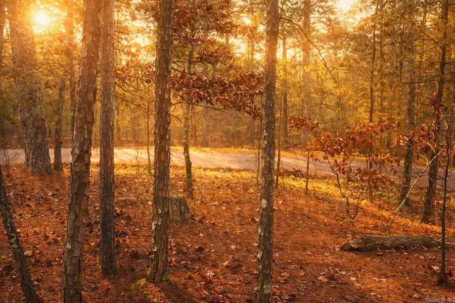 6 Calahorra Circle, Hot Springs Village, AR 71909 - #2