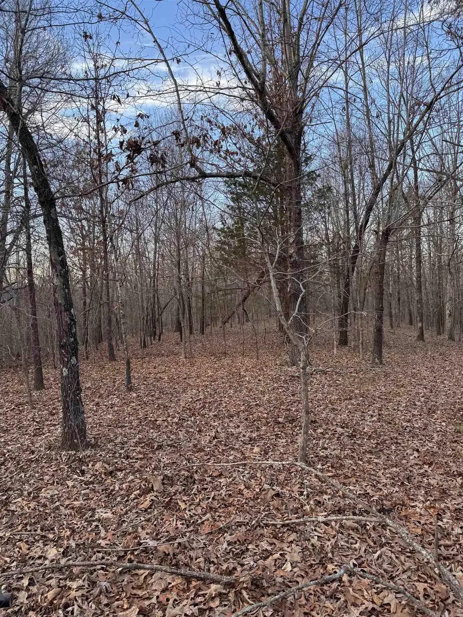 County Road 470, Rector, AR 72461 - #2