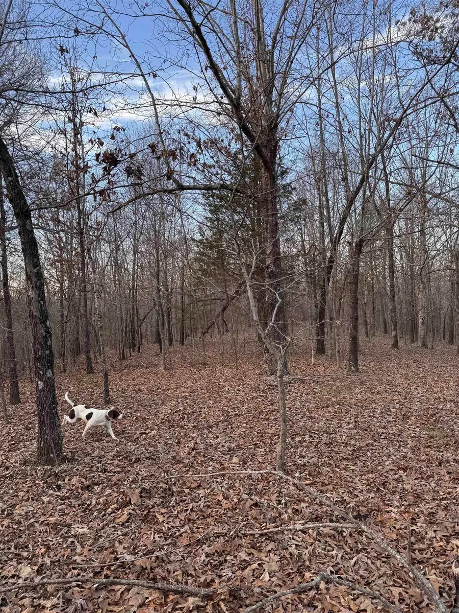 County Road 470, Rector, AR 72461 - #3